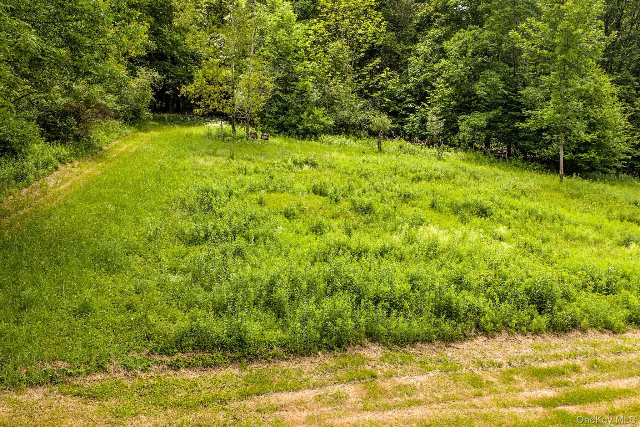 Single Family Hessinger And Lare Road Sullivan County, NY 12748, MLS-1013859-39