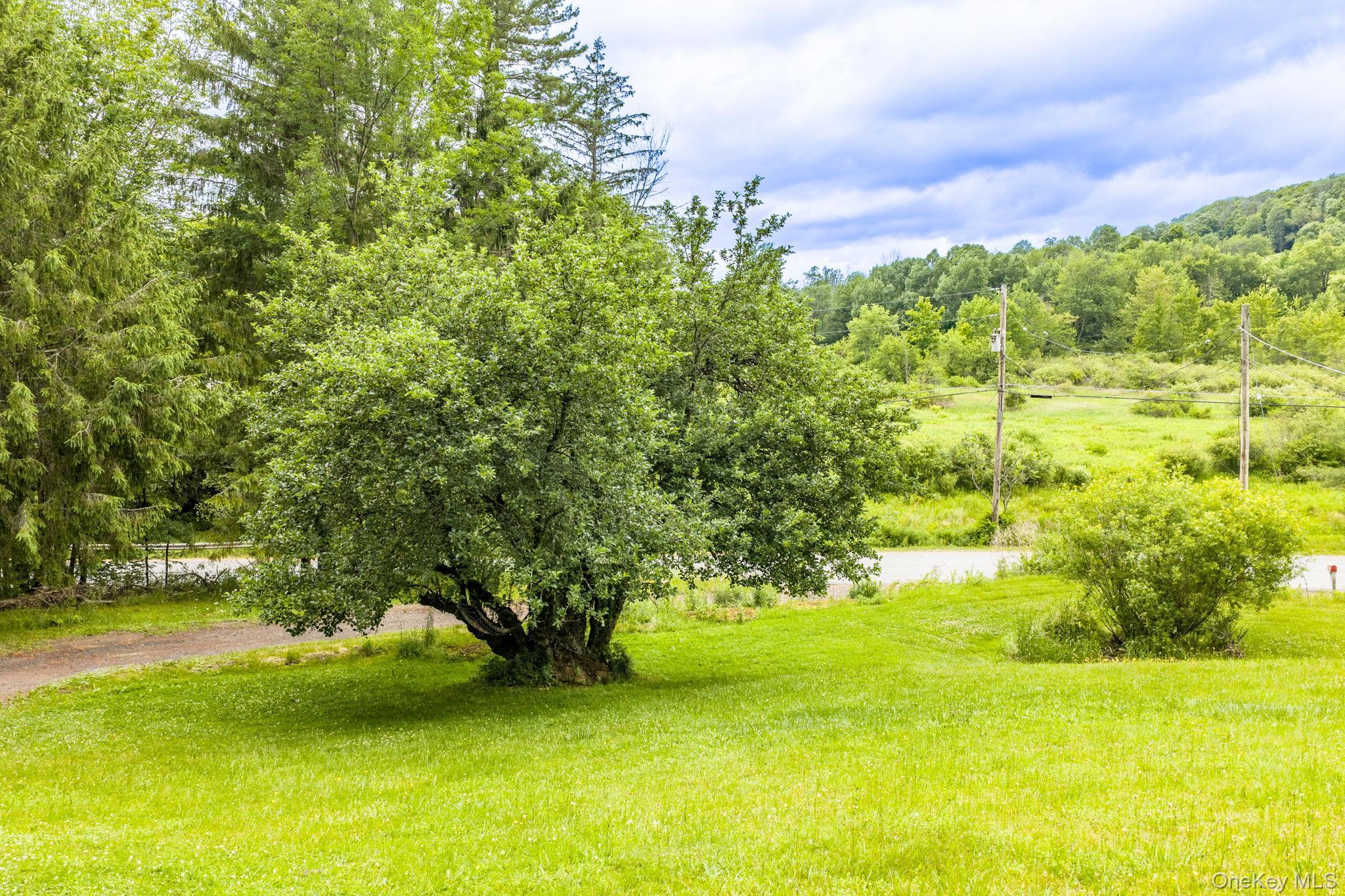 Single Family Hessinger And Lare Road Sullivan County, NY 12748, MLS-1013859-42