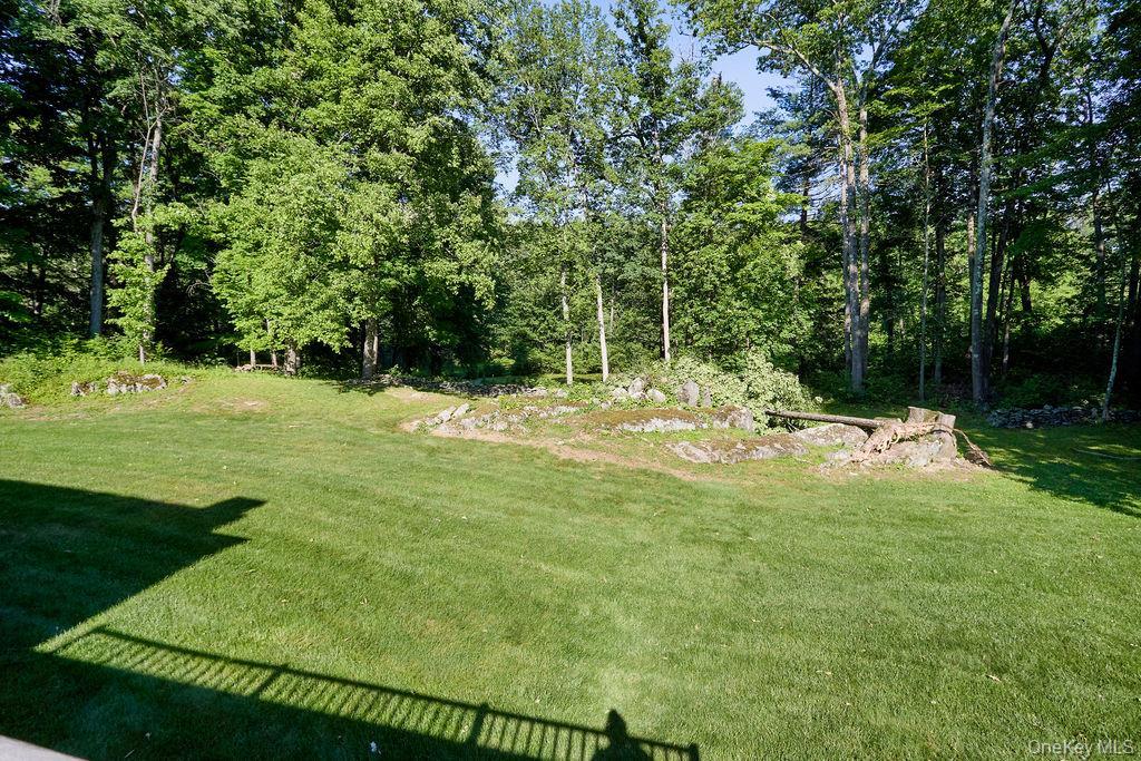 Single Family Stoutenburgh Drive Dutchess County, NY 12538, MLS-1014045-40