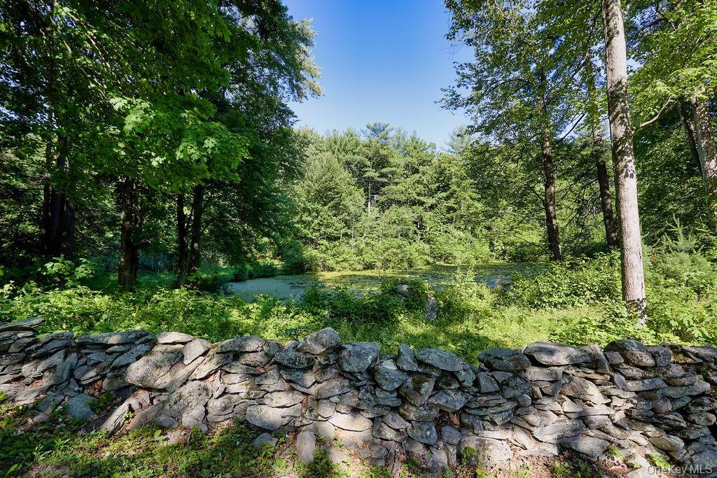 Single Family Stoutenburgh Drive Dutchess County, NY 12538, MLS-1014045-41