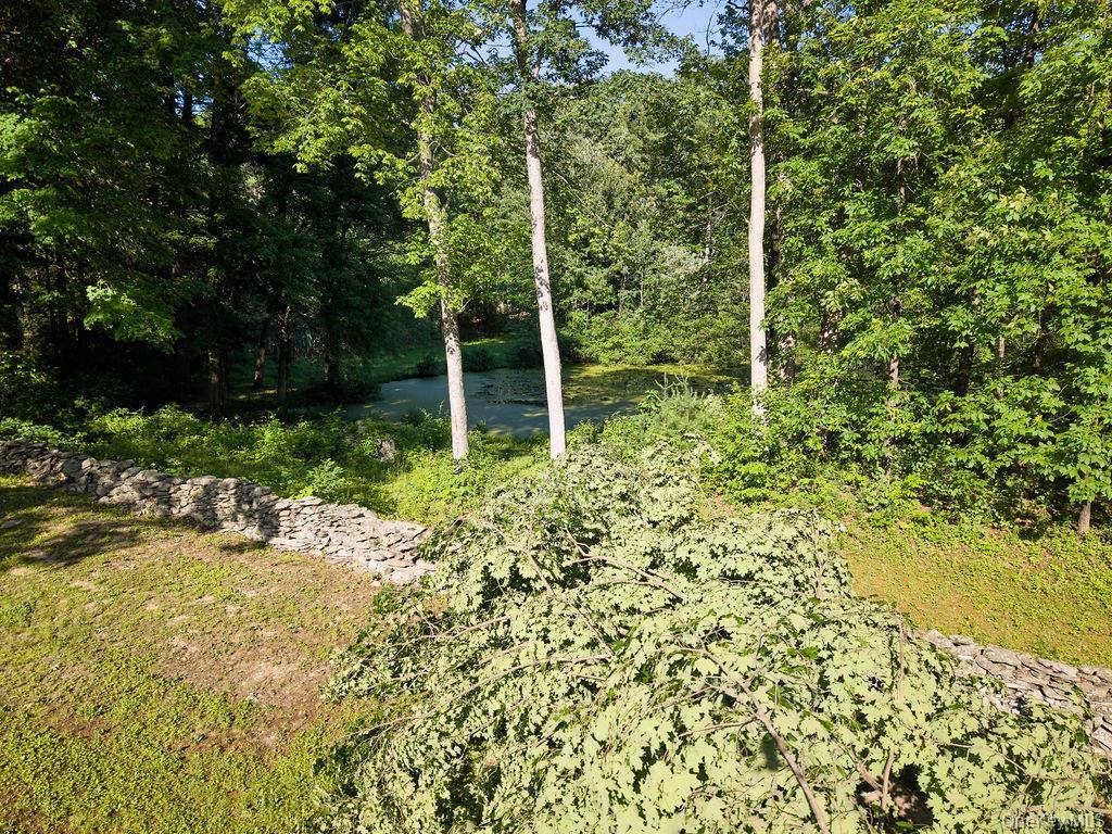 Single Family Stoutenburgh Drive Dutchess County, NY 12538, MLS-1014045-46