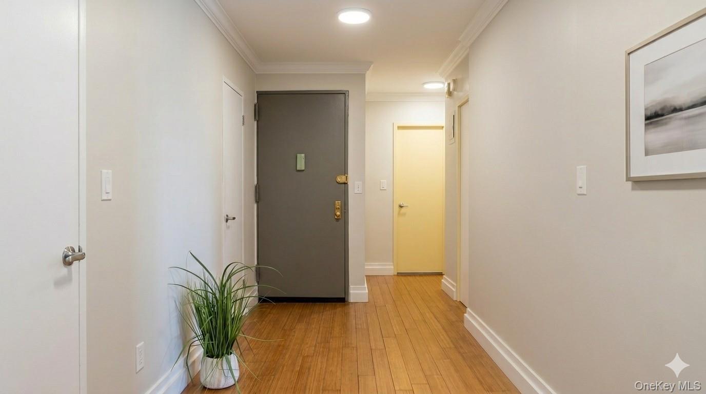 Condo Vermont Street Brooklyn, NY 11207, MLS-1014102-8