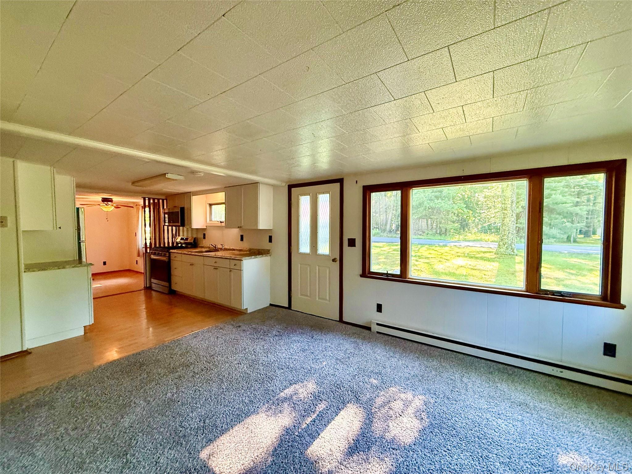 Single Family Lakeview Drive Sullivan County, NY 12743, MLS-1014138-8