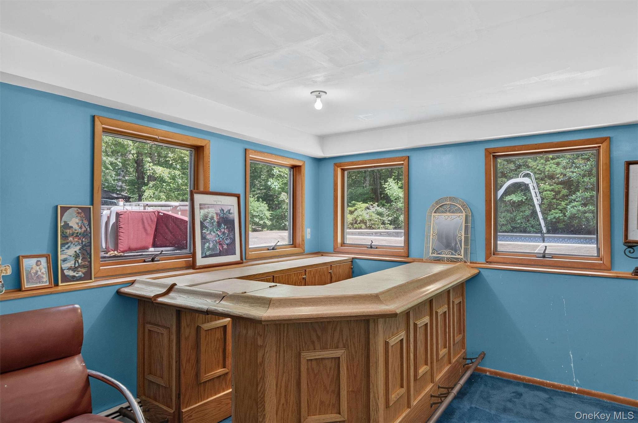 Single Family Carol Drive Orange County, NY 10950, MLS-1014145-23