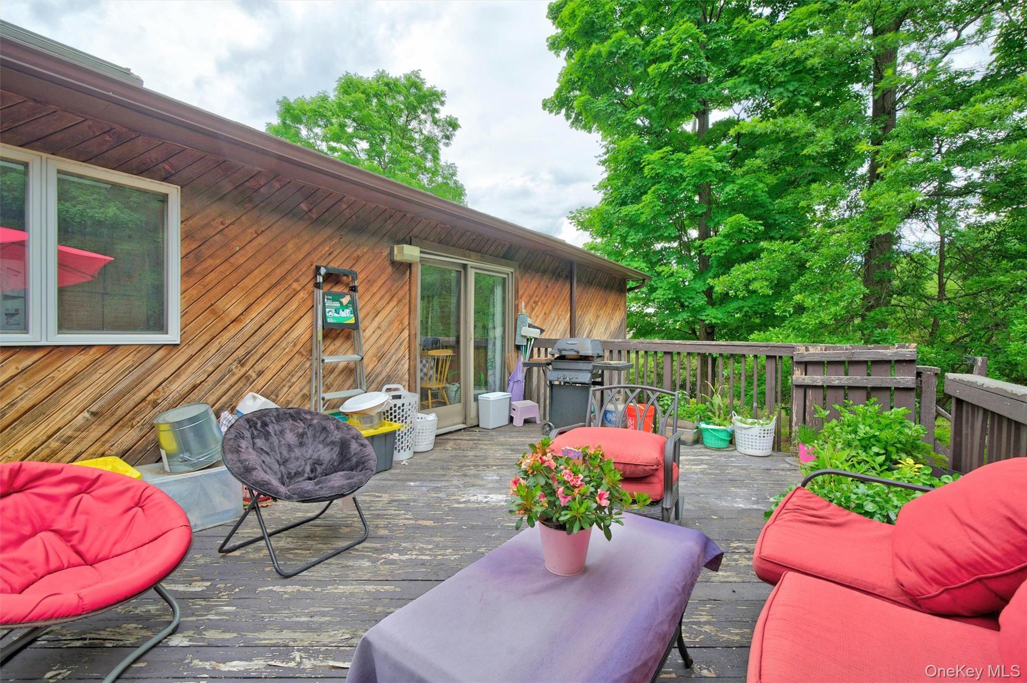 Single Family Carol Drive Orange County, NY 10950, MLS-1014145-24