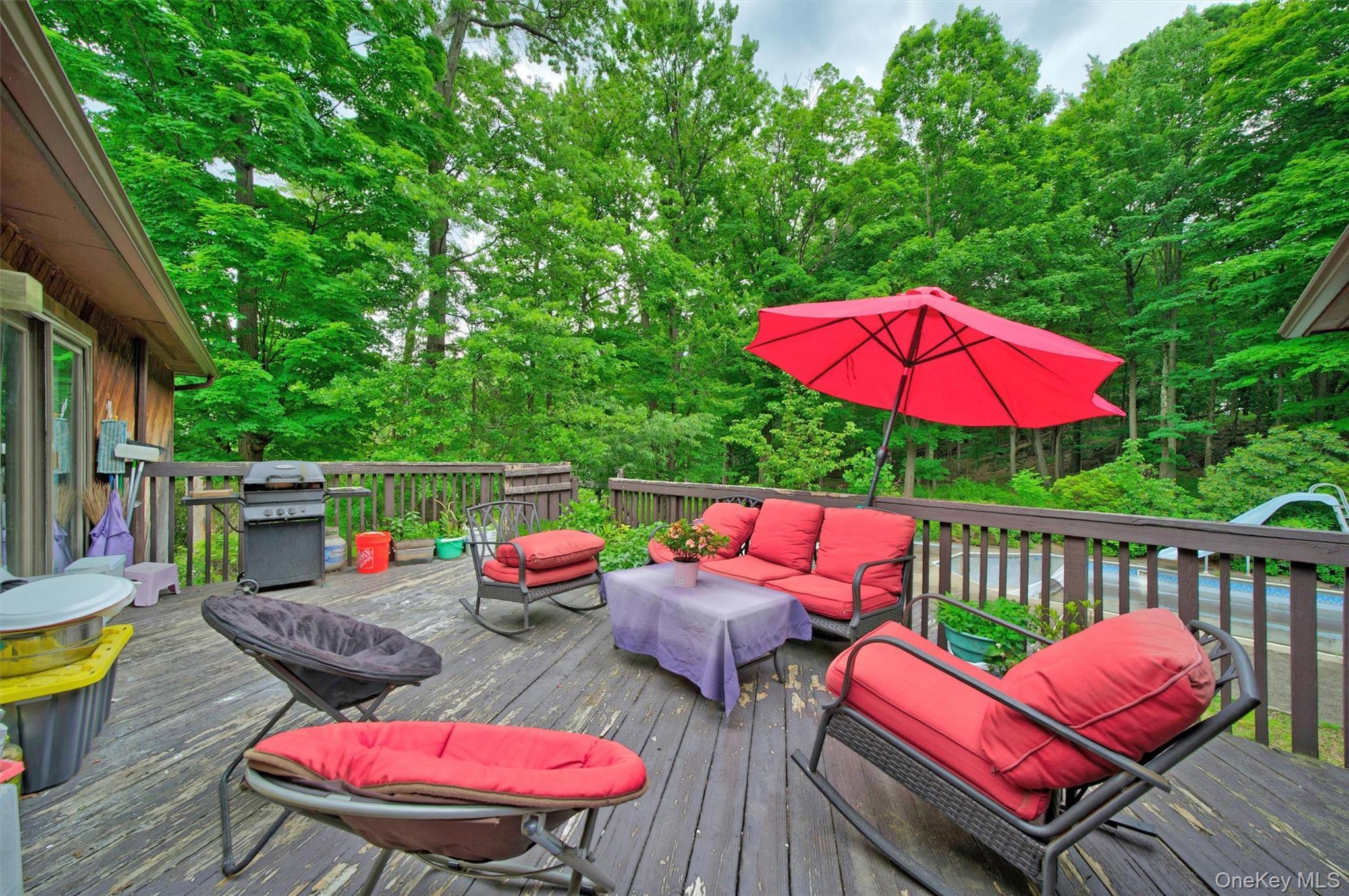 Single Family Carol Drive Orange County, NY 10950, MLS-1014145-25