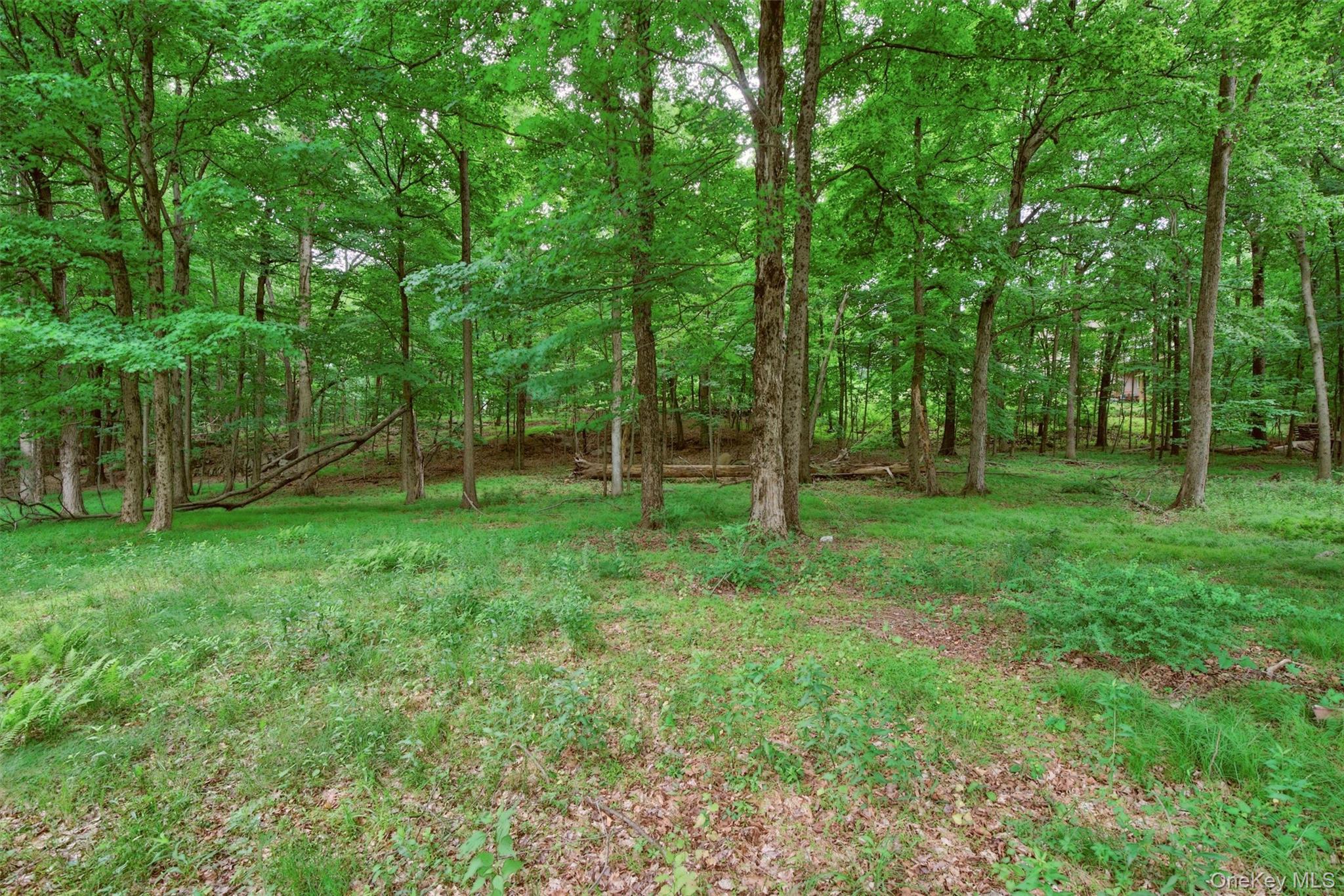 Single Family Carol Drive Orange County, NY 10950, MLS-1014145-30