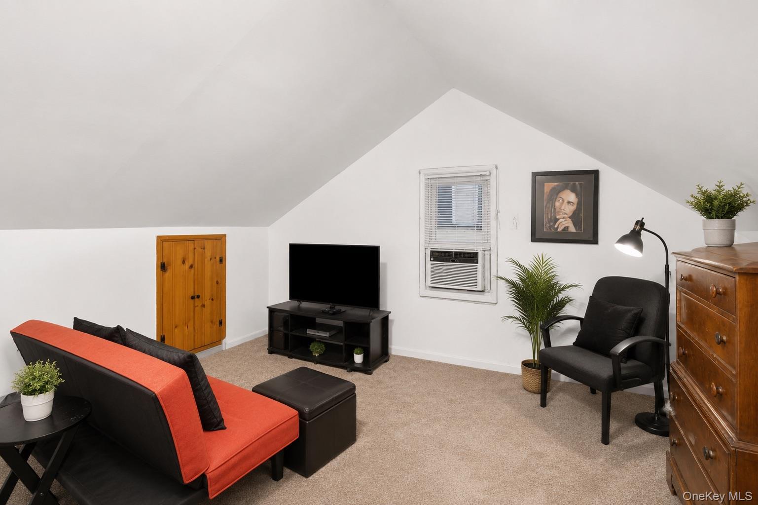 Single Family De Mott Avenue Nassau County, NY 11510, MLS-1014275-25