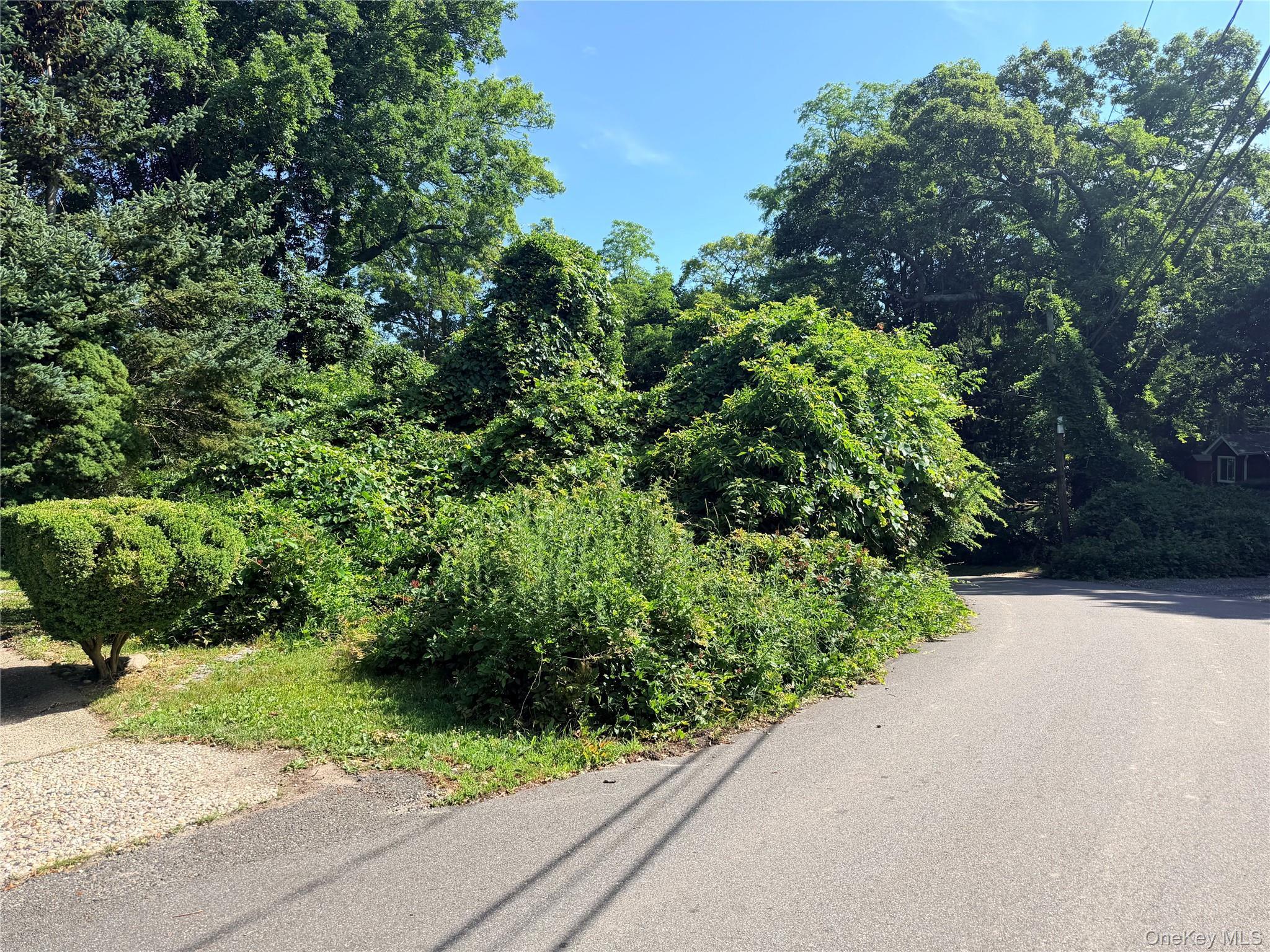 Single Family Maple Road Suffolk County, NY 11778, MLS-1014283-33