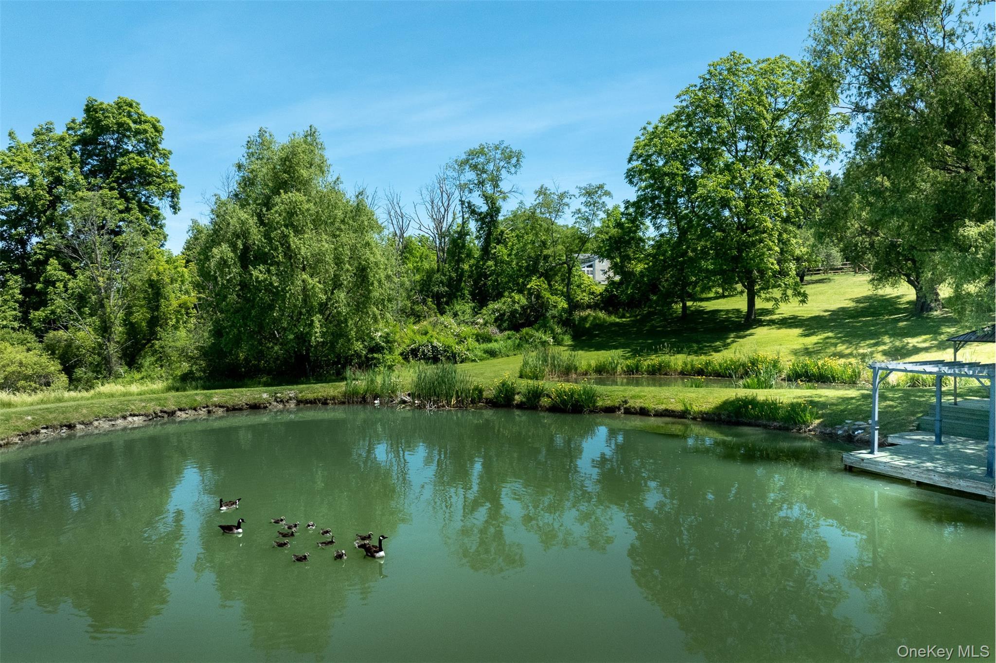 Single Family Route 82 Dutchess County, NY 12545, MLS-1014296-33
