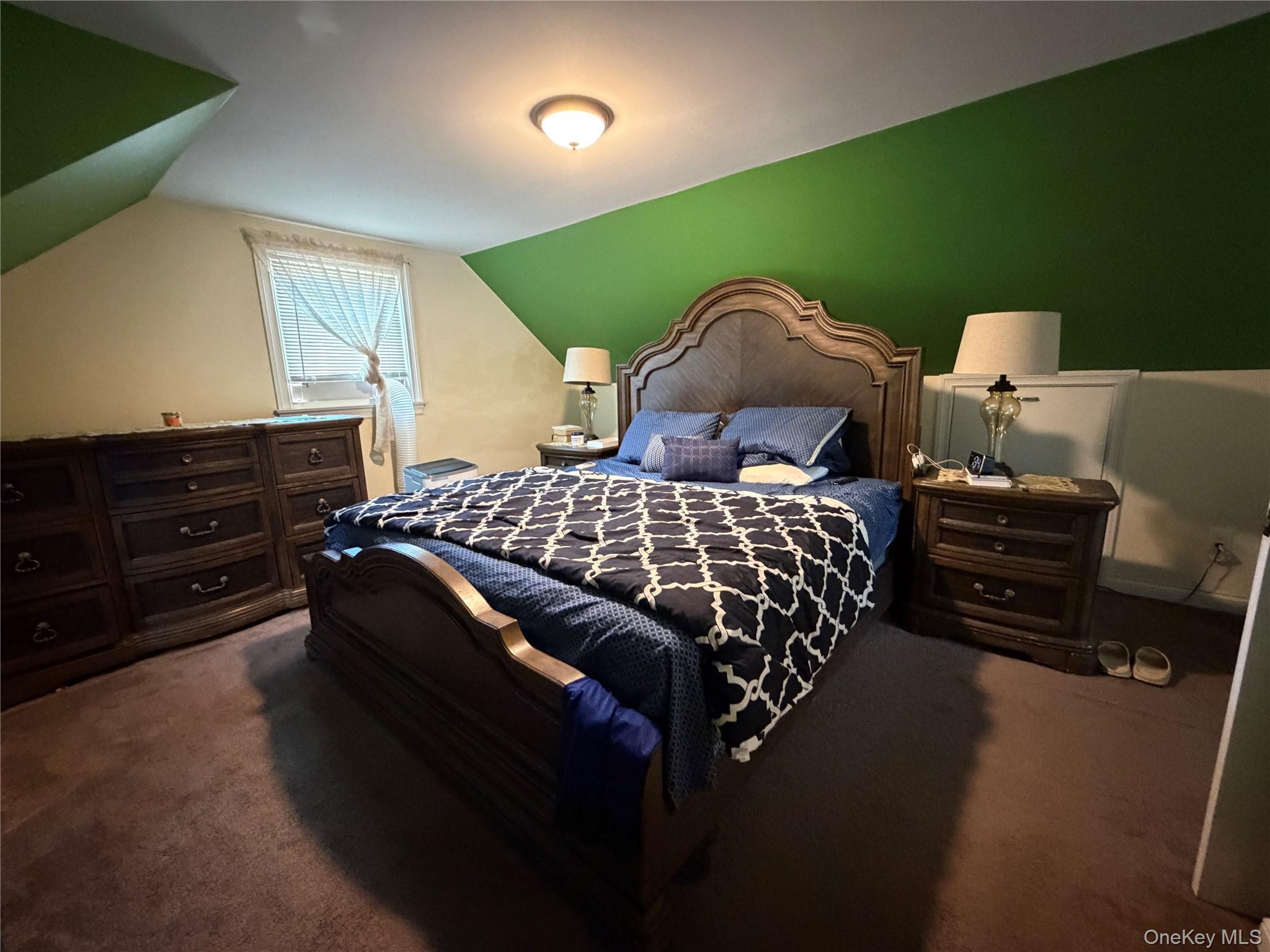 Single Family Sagamore Street  Nassau County, NY 11520, MLS-1014327-13