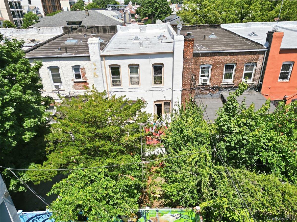 Single Family Avenue D  Brooklyn, NY 11203, MLS-1014329-5