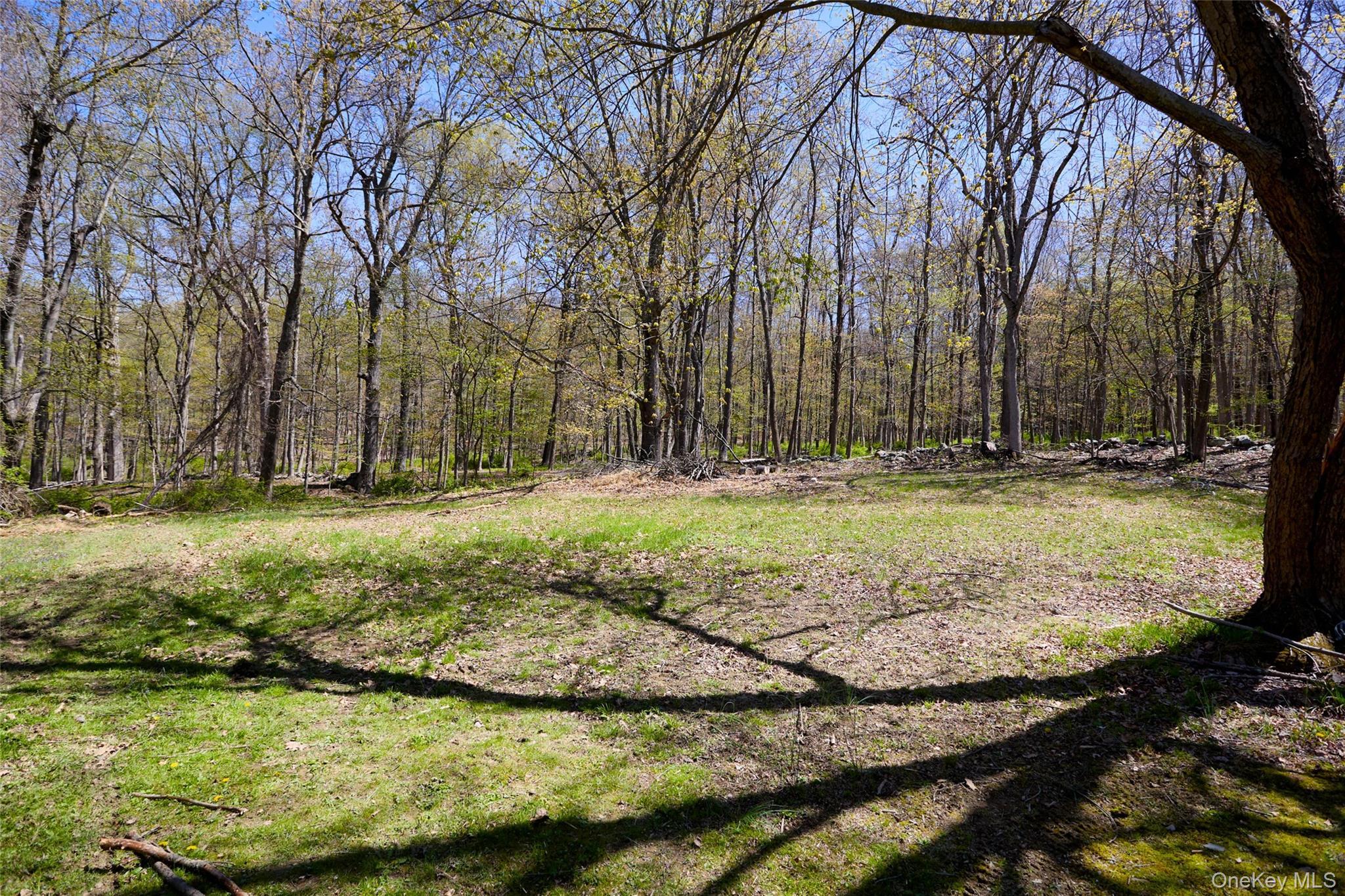 Single Family Cole Road Dutchess County, NY 12569, MLS-1014436-5