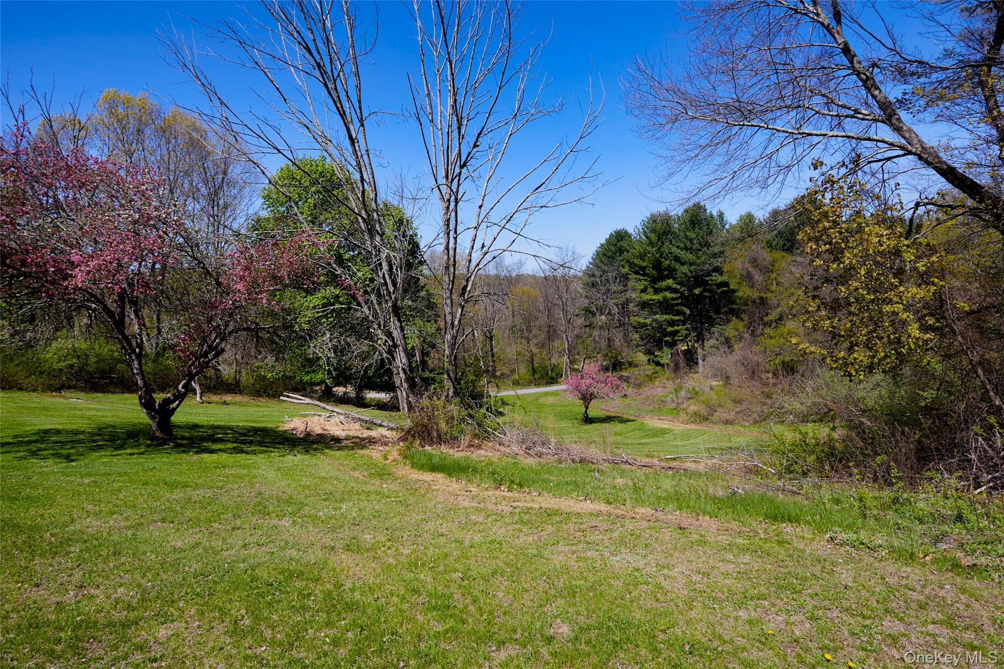 Single Family Cole Road Dutchess County, NY 12569, MLS-1014436-7