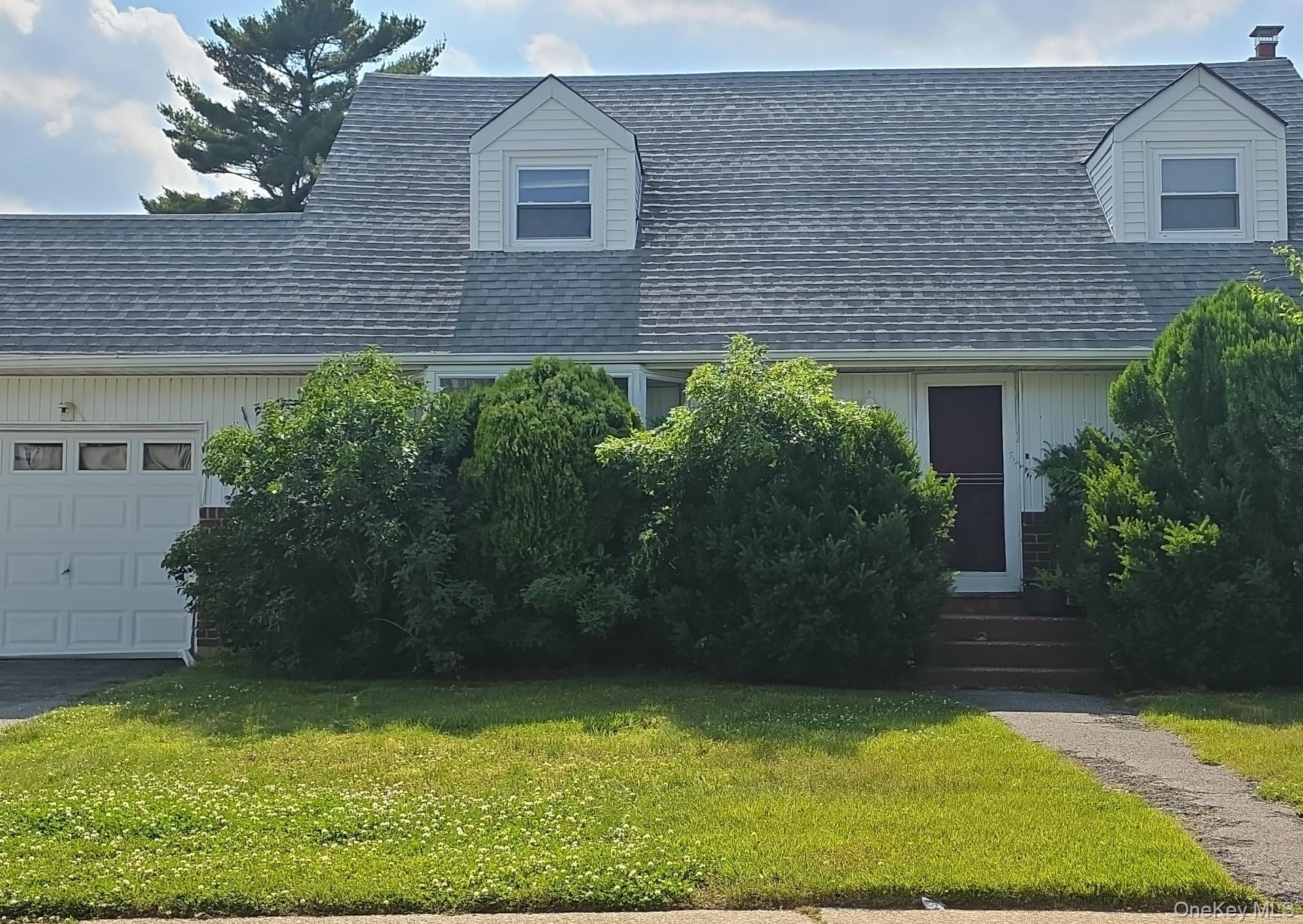 Single Family Elmwood Street Nassau County, NY 11803, MLS-1014482-3
