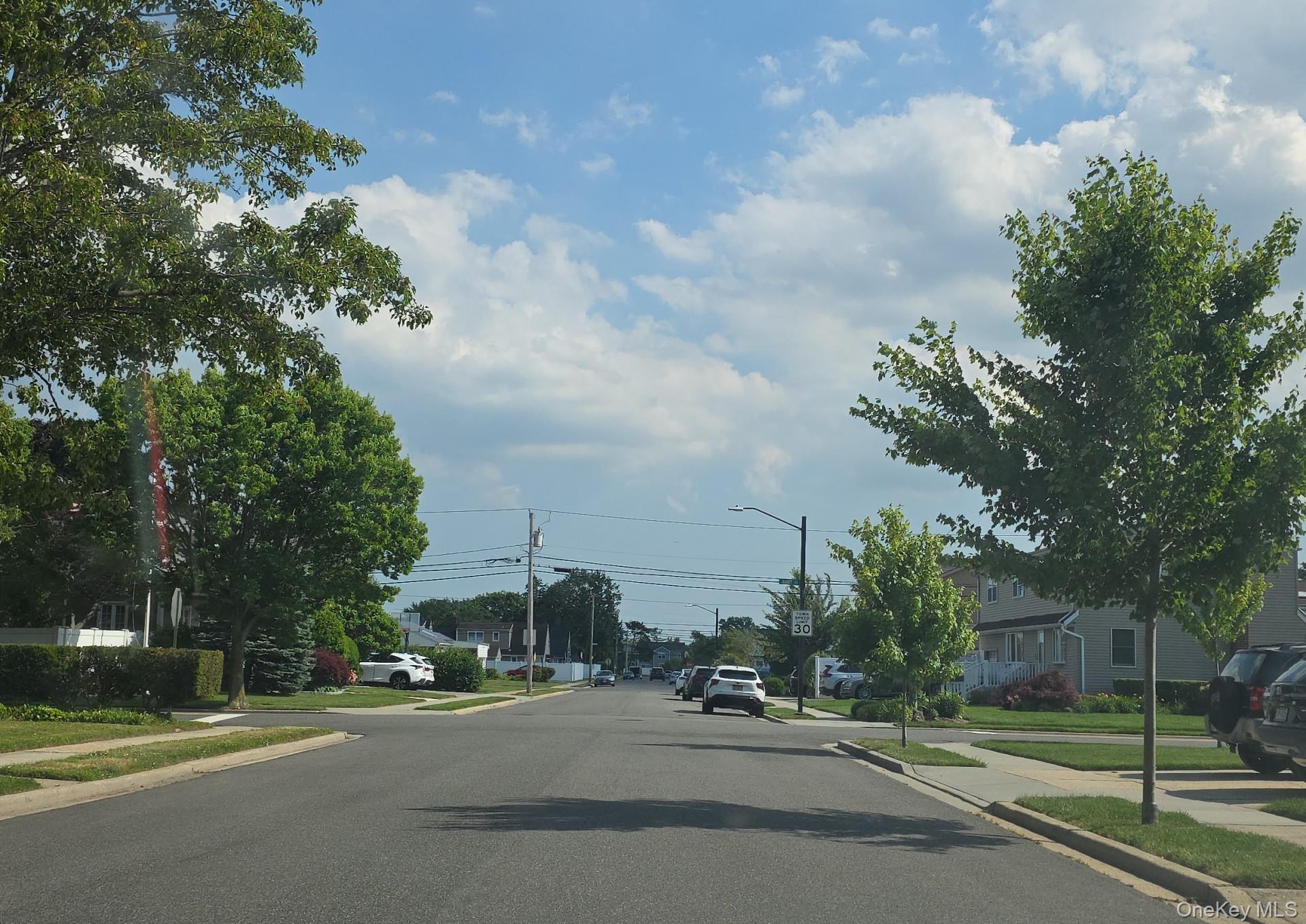 Single Family Elmwood Street Nassau County, NY 11803, MLS-1014482-5