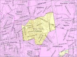Single Family Elmwood Street Nassau County, NY 11803, MLS-1014482-7