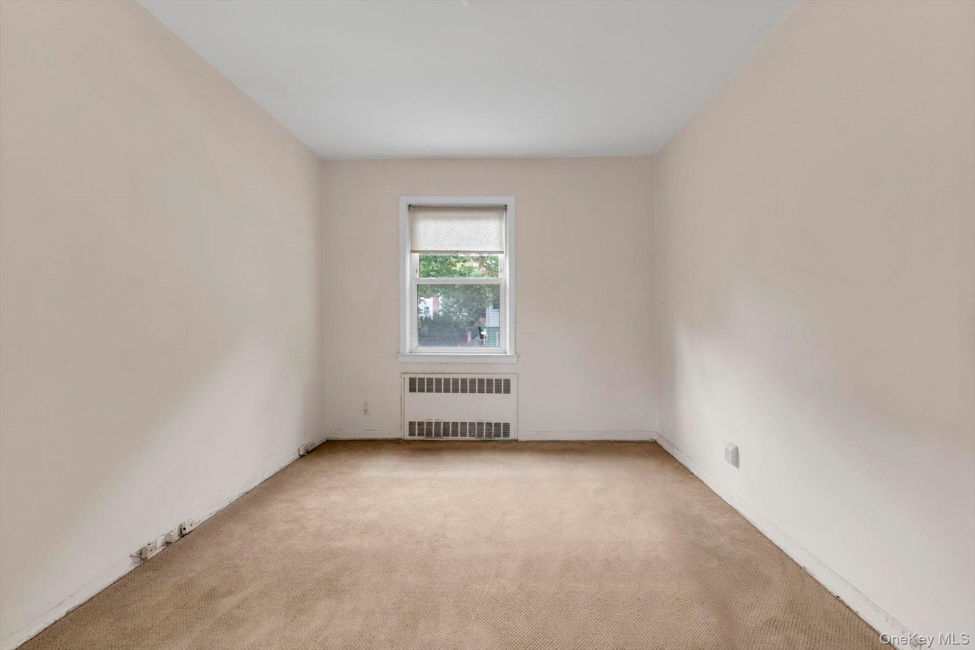 Single Family Hoover Avenue Queens, NY 11435, MLS-1014494-19