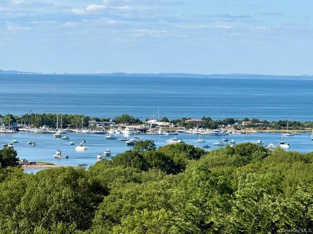Single Family Contessa Court  Suffolk County, NY 11777, MLS-1014504-2
