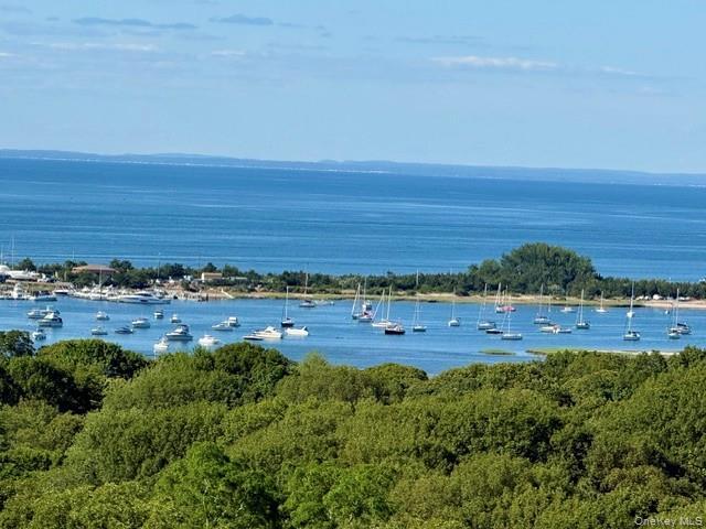 Single Family Contessa Court  Suffolk County, NY 11777, MLS-1014504-47