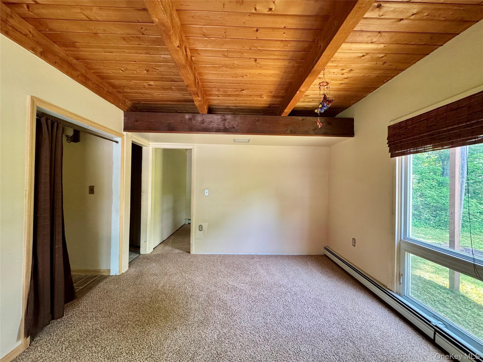 Single Family 5 Mile Woods Greene County, NY 12414, MLS-1014527-16