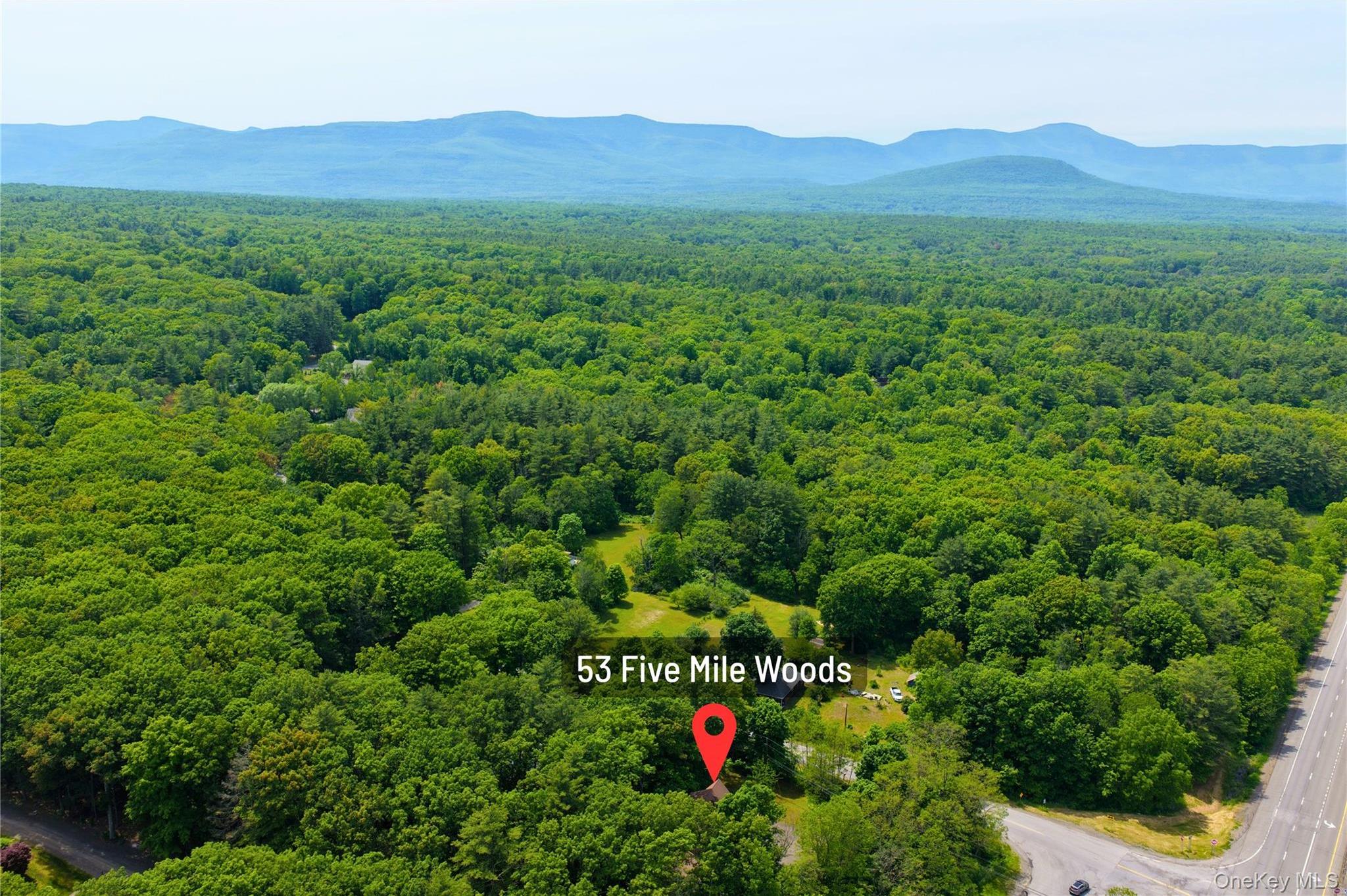 Single Family 5 Mile Woods  Greene County, NY 12414, MLS-1014527-17