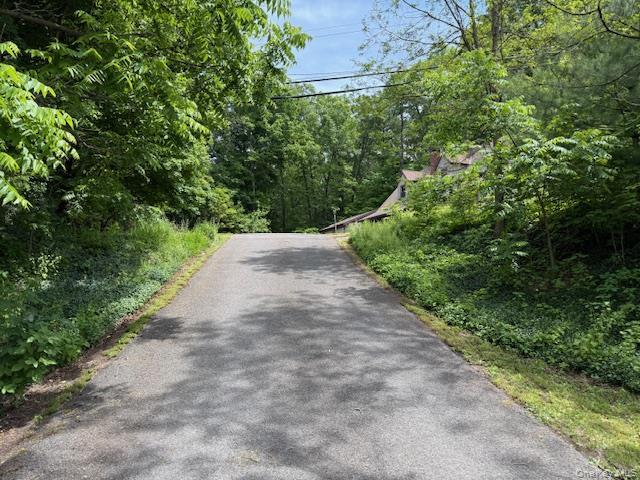 Single Family 5 Mile Woods Greene County, NY 12414, MLS-1014527-4
