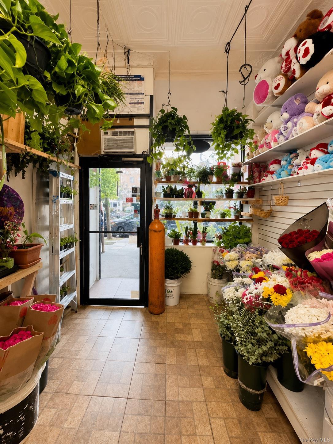 Commercial Lease Knickerbocker  Brooklyn, NY 11237, MLS-1014534-2