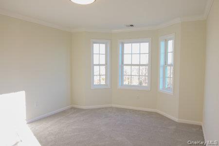 Single Family James Place  Orange County, NY 12771, MLS-1014582-11
