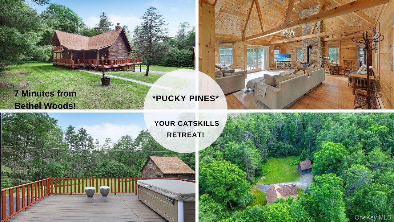 Single Family Pucky Huddle Road  Sullivan County, NY 12720, MLS-1014591-3