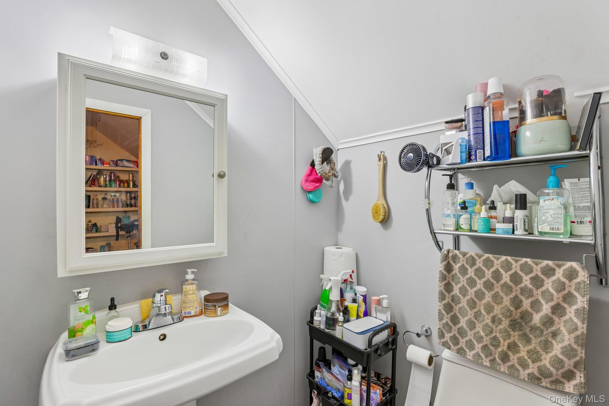 Single Family 243rd Street Queens, NY 11422, MLS-1014601-22
