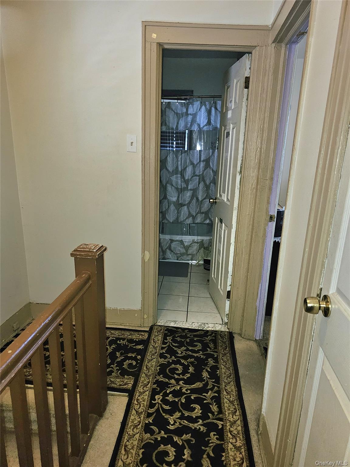 Single Family 223rd Street Queens, NY 11413, MLS-1014617-10