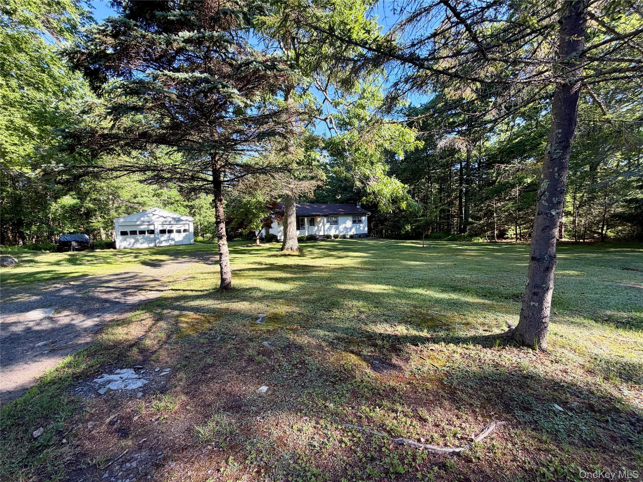 Single Family Forestburgh Road Sullivan County, NY 12737, MLS-1014630-20