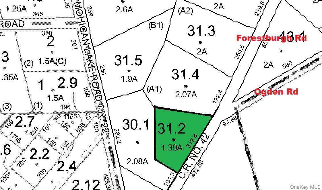 Single Family Forestburgh Road  Sullivan County, NY 12737, MLS-1014630-21