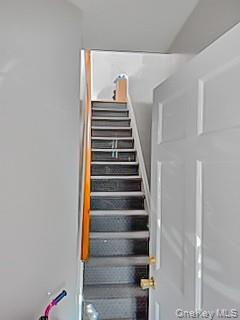 Single Family 95th  Brooklyn, NY 11236, MLS-1014670-29
