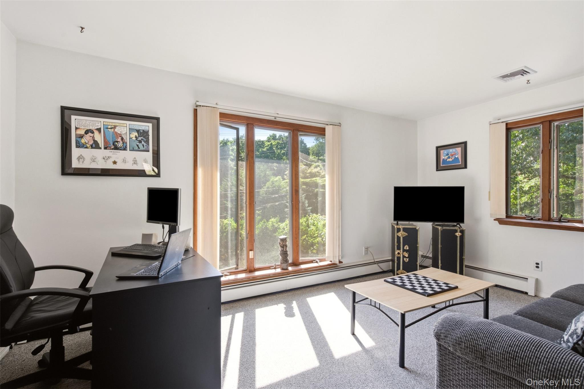 Single Family Vineyard Road  Suffolk County, NY 11743, MLS-1014899-13