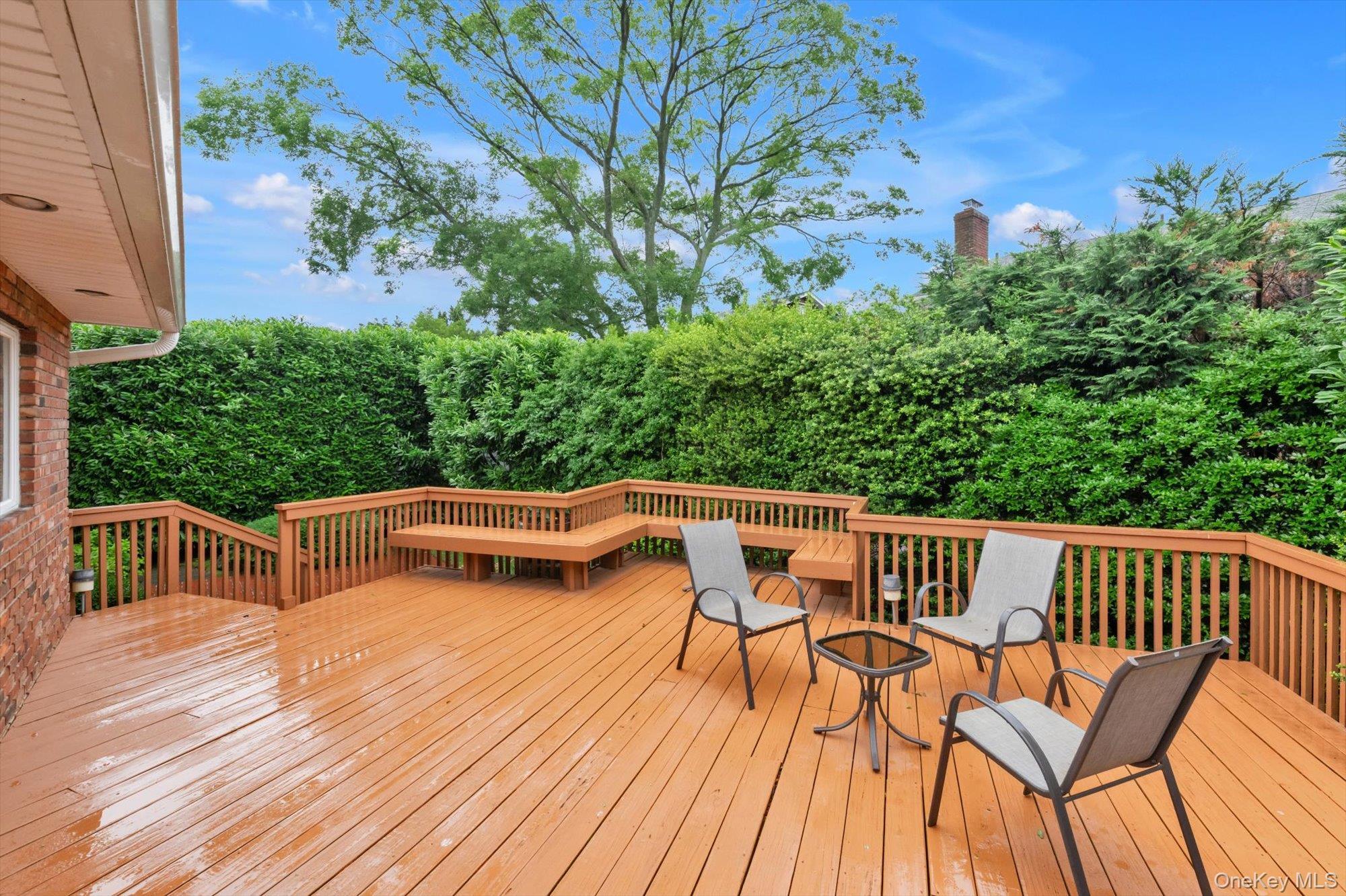 Single Family Regent Drive  Nassau County, NY 11561, MLS-1014921-42