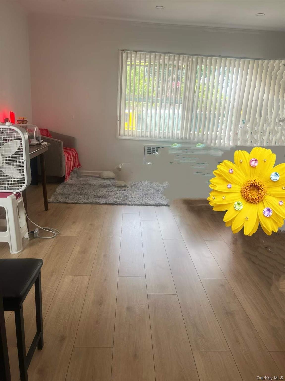 Single Family 42nd Avenue  Queens, NY 11361, MLS-1014936-9