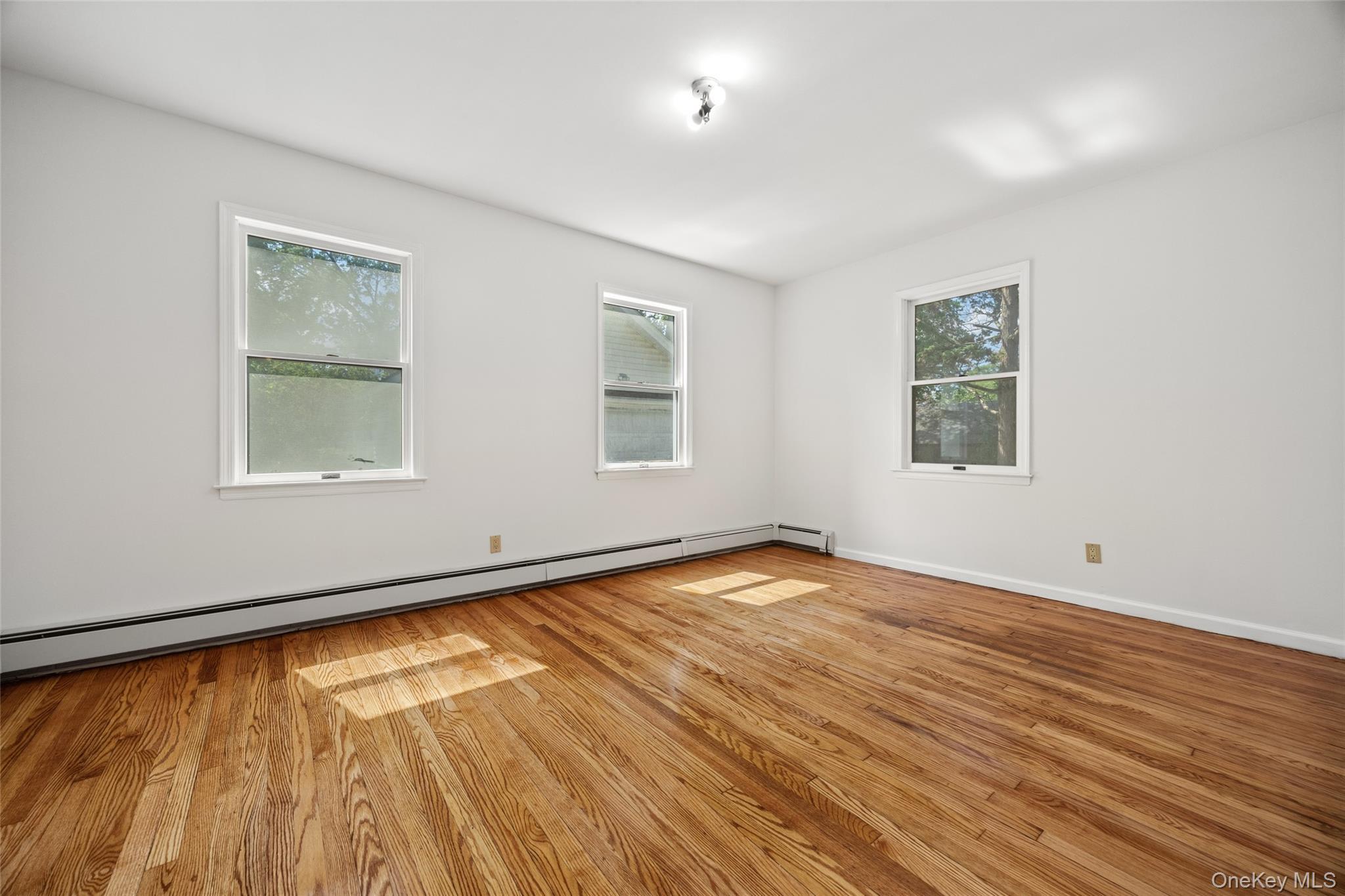 Single Family Spruce Street Nassau County, NY 11021, MLS-1014941-13