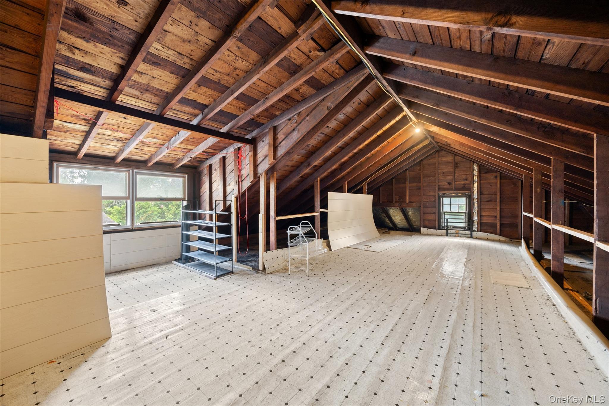 Single Family Spruce Street Nassau County, NY 11021, MLS-1014941-20