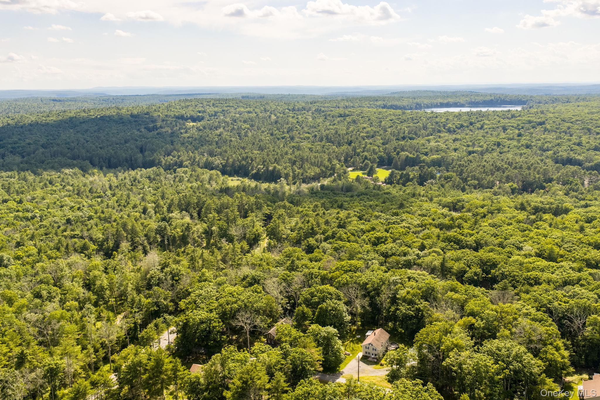Single Family Oneida Trail Sullivan County, NY 12737, MLS-1014953-13