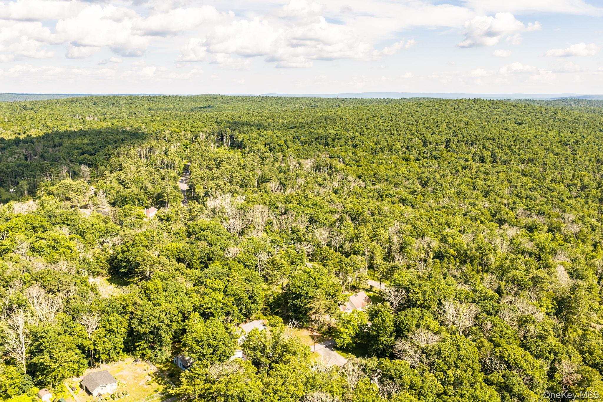 Single Family Oneida Trail Sullivan County, NY 12737, MLS-1014953-14