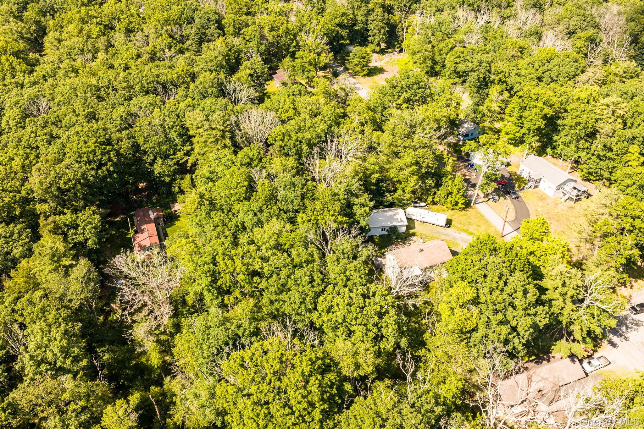 Single Family Oneida Trail Sullivan County, NY 12737, MLS-1014953-16