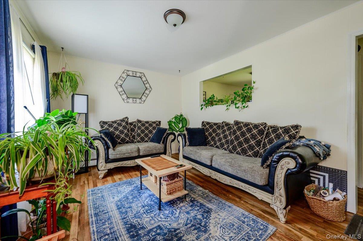 Single Family Brooklyn Boulevard Suffolk County, NY 11706, MLS-1014961-2