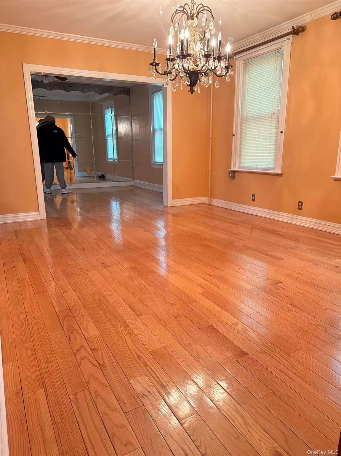Single Family 46th Queens, NY 11368, MLS-1015125-4
