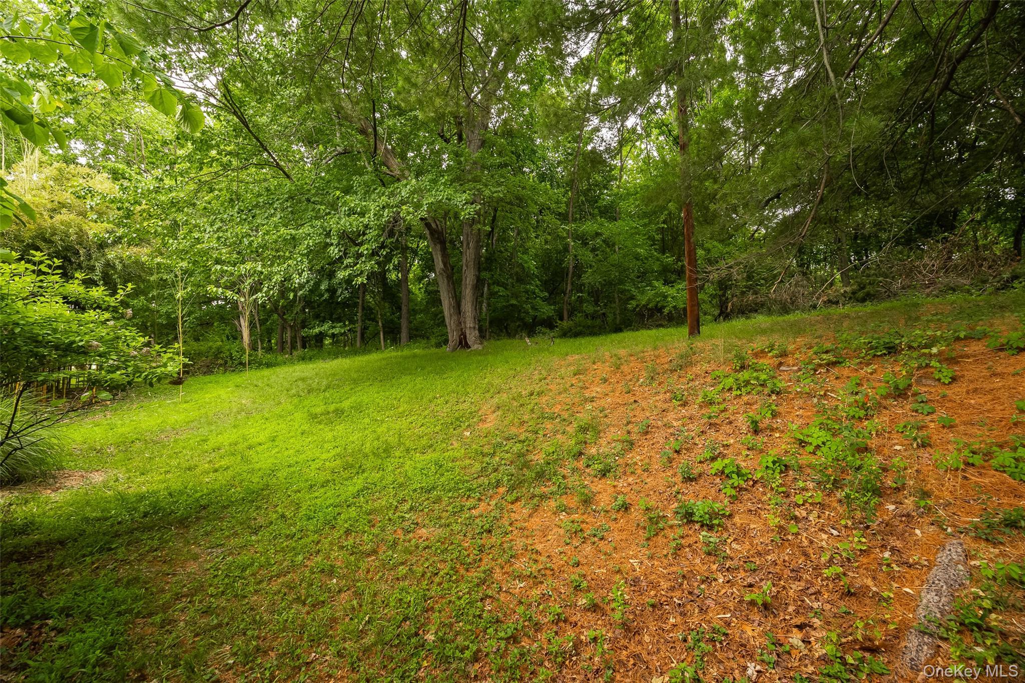 Single Family Vassar Road  Dutchess County, NY 12603, MLS-1015147-22