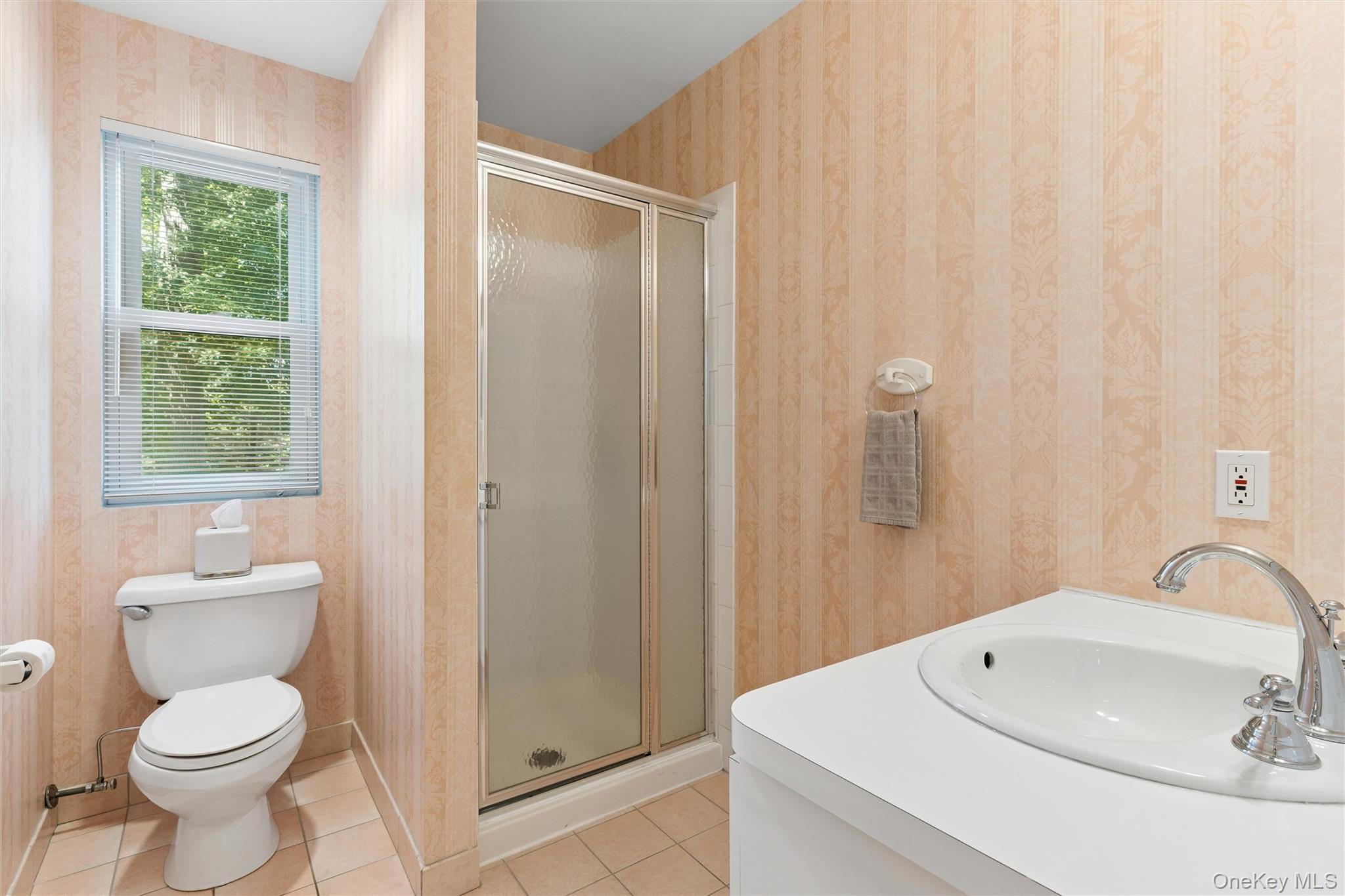 Single Family Greenwood Lane  Nassau County, NY 11797, MLS-1015209-19