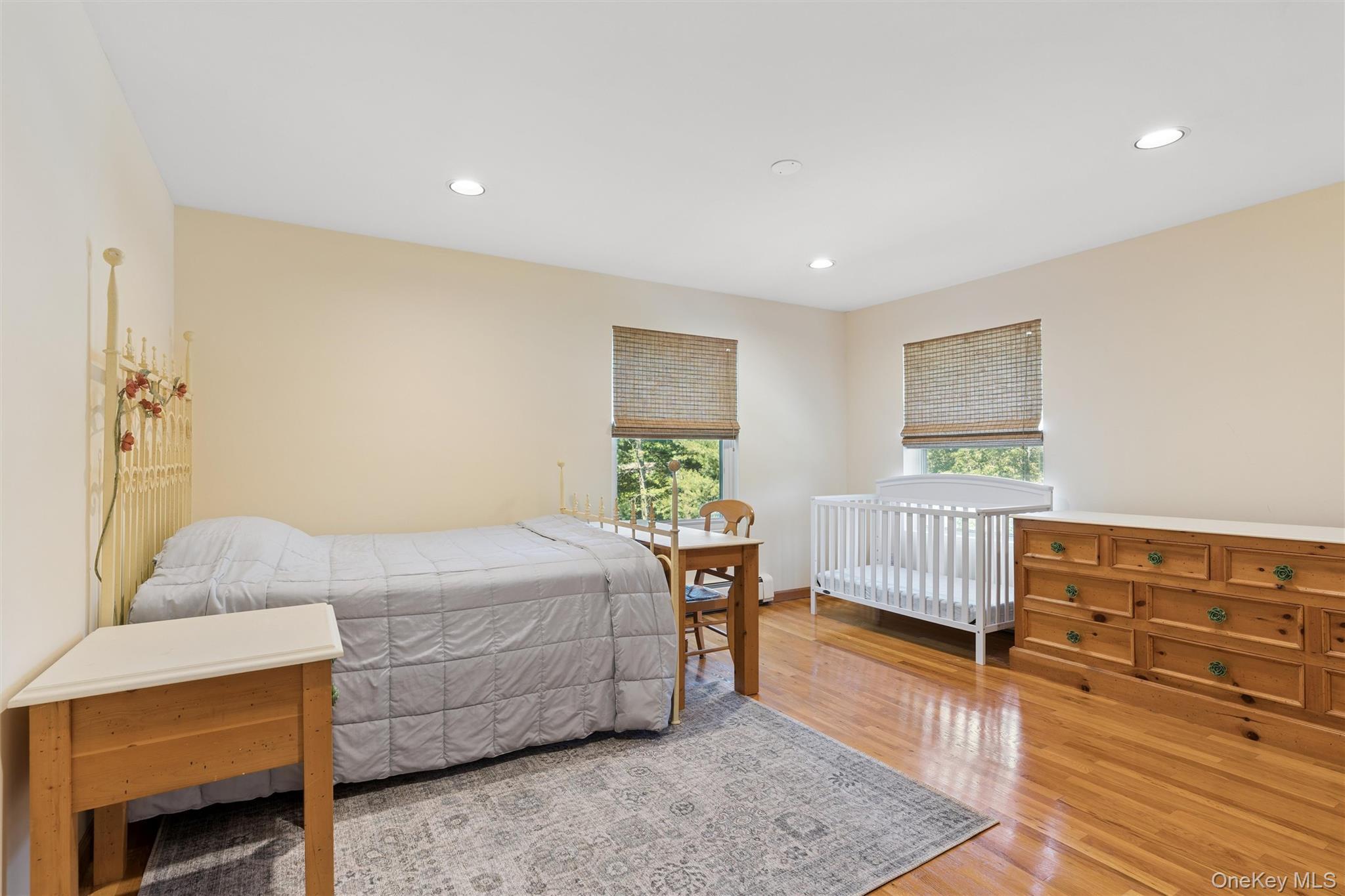 Single Family Greenwood Lane  Nassau County, NY 11797, MLS-1015209-25