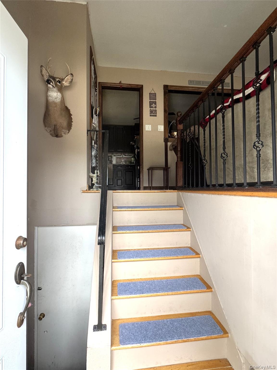 Single Family Mckinley Street  Nassau County, NY 11510, MLS-1015242-10