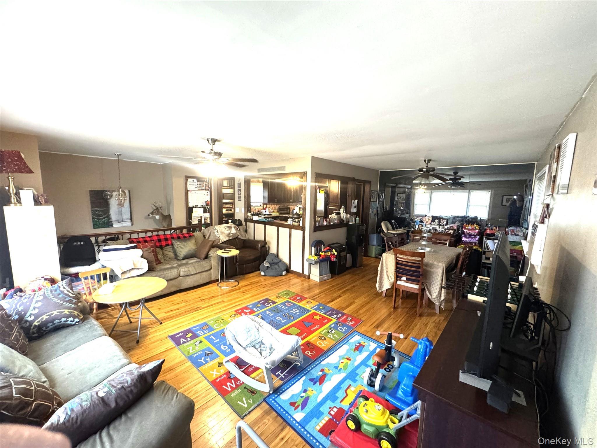 Single Family Mckinley Street  Nassau County, NY 11510, MLS-1015242-4